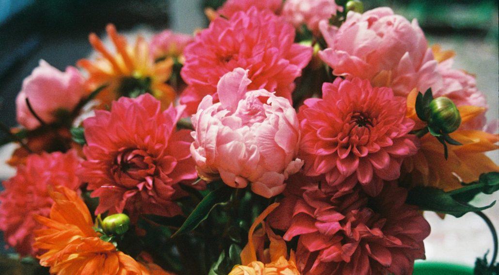 A vase of flowers to decorate a room. Mornington Chinese Medicine