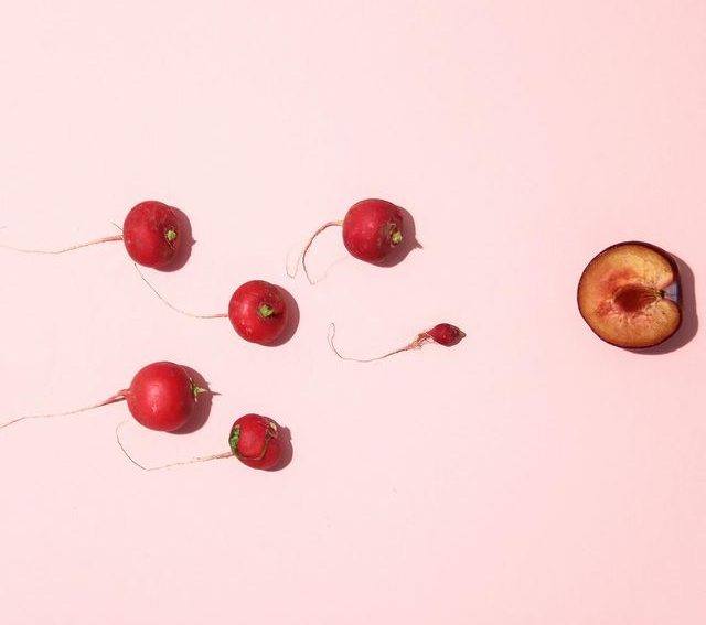 A cluster of radishes with a fruit at the centre, believed to possess beneficial properties in Chinese medicine. Mornington Chinese Medicine